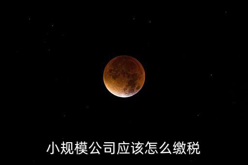 小規(guī)模公司按什么交稅嗎，一個(gè)小規(guī)模納稅公司國(guó)稅和地稅應(yīng)該都分別交什么稅