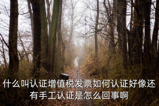 什么叫發(fā)票認(rèn)證，什么叫認(rèn)證增值稅發(fā)票如何認(rèn)證好像還有手工認(rèn)證是怎么回事啊