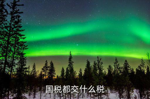 國稅稅費(fèi)是什么，國稅都交什么稅