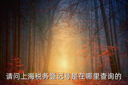 上海的稅務(wù)賬號是什么，請問上海稅務(wù)登記號是在哪里查詢的