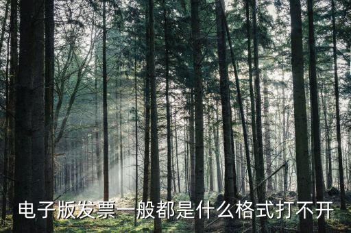 微發(fā)票助手是什么格式，exa是什么格式