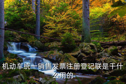 機(jī)動(dòng)車(chē)統(tǒng)一銷(xiāo)售發(fā)票注冊(cè)登記聯(lián)是干什么用的