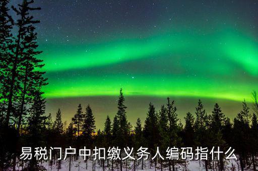 扣繳義務(wù)人識別碼是什么，易稅門戶中扣繳義務(wù)人編碼指什么
