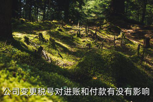 換稅號注意什么，公司變更稅號對進(jìn)賬和付款有沒有影響