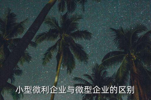 小型微利企業(yè)指的是什么，小型微利企業(yè)與微型企業(yè)的區(qū)別