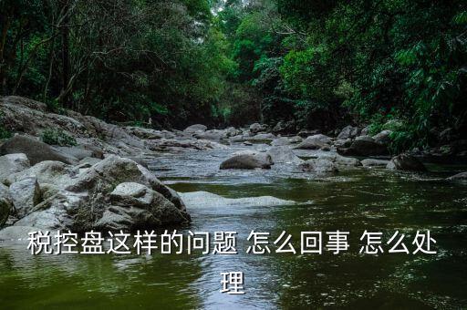 為什么稅控盤升級，稅控盤這樣的問題 怎么回事 怎么處理