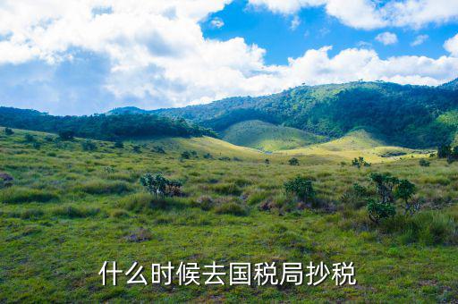 什么時(shí)候抄稅報(bào)稅，什么時(shí)候去國(guó)稅局抄稅