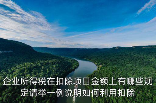 扣除項目金額是什么，應(yīng)稅服務(wù)扣除項目清單中允許扣除項目金額指的是什么是總