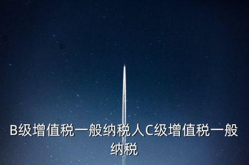 納稅用戶c級企業(yè)是什么意思，B級增值稅一般納稅人C級增值稅一般納稅