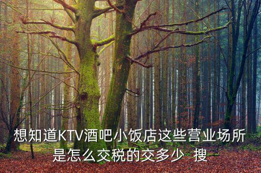ktv交納什么稅，想知道KTV酒吧小飯店這些營業(yè)場所是怎么交稅的交多少  搜