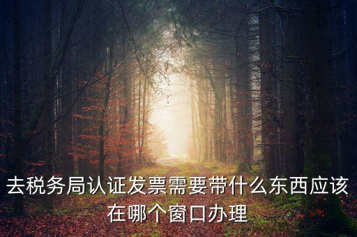 去稅務(wù)局認證發(fā)票需要帶什么東西應(yīng)該在哪個窗口辦理