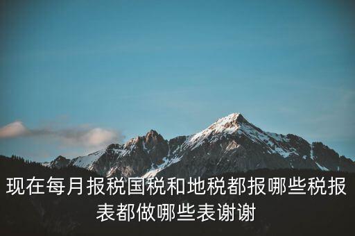 國(guó)稅報(bào)什么，現(xiàn)在每月報(bào)稅國(guó)稅和地稅都報(bào)哪些稅報(bào)表都做哪些表謝謝