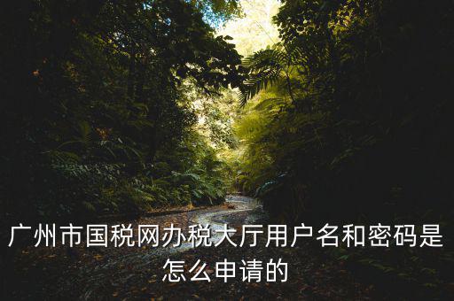 廣州國(guó)稅官網(wǎng)登錄密碼是什么原因，國(guó)稅第一次網(wǎng)上申報(bào)的登陸密碼是什么