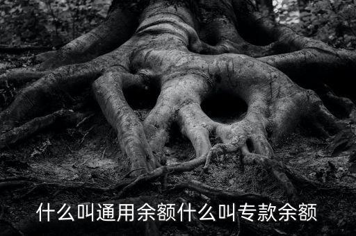 什么叫通用余額什么叫?？钣囝~