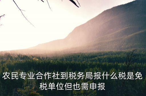 合作社應(yīng)報(bào)什么稅，農(nóng)民專業(yè)合作社是怎樣報(bào)稅的是企業(yè)還是個(gè)體戶