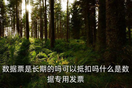 什么是增值稅數(shù)據(jù)票，數(shù)據(jù)發(fā)票是什么意思
