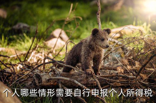 什么人申報(bào)個(gè)稅，個(gè)人哪些情形需要自行申報(bào)個(gè)人所得稅