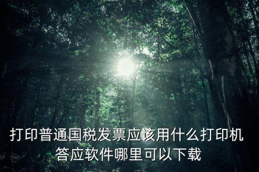 打國(guó)稅發(fā)票用什么軟件，打印普通國(guó)稅發(fā)票應(yīng)該用什么打印機(jī) 答應(yīng)軟件哪里可以下載