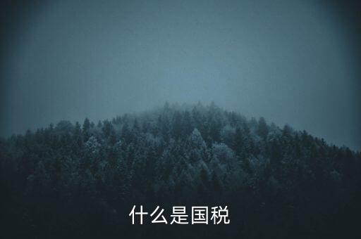 2017年國(guó)稅是什么，2017年我國(guó)財(cái)政稅收是多少