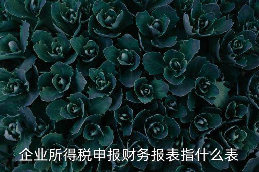 千戶集團(tuán)財(cái)務(wù)報(bào)表申報(bào)是什么，2015年度財(cái)務(wù)報(bào)表和申報(bào)表指的是啥
