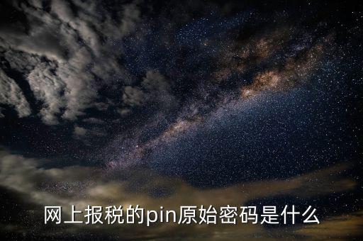國(guó)稅什么叫pin碼，機(jī)構(gòu)代碼的ca證書的PIN碼是什么我用CA證書登陸國(guó)稅時(shí)提示詳細(xì)