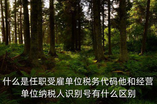 什么是任職受雇單位稅務(wù)代碼他和經(jīng)營單位納稅人識(shí)別號(hào)有什么區(qū)別