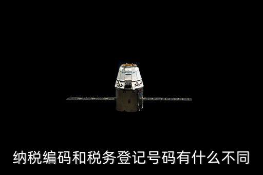 個人納稅編號是什么意思，納稅編碼和稅務(wù)登記號碼有什么不同