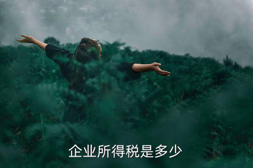 生產(chǎn)企業(yè)稅收標(biāo)準(zhǔn)是什么，企業(yè)所得稅是多少
