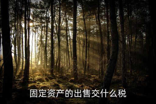 固定資產的出售交什么稅