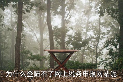 申報個稅登錄不上去是什么原因，為什么我的個人所得稅總是登不上去