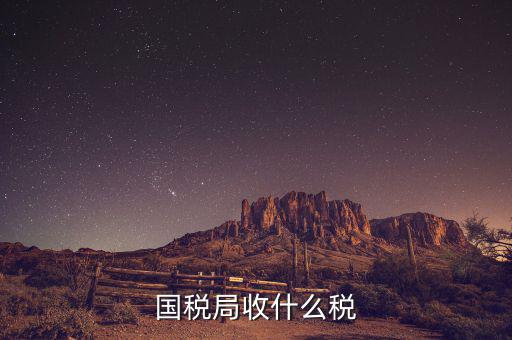南寧國稅局收什么的稅，請教南寧國稅納稅具體多少以1000元收入為例