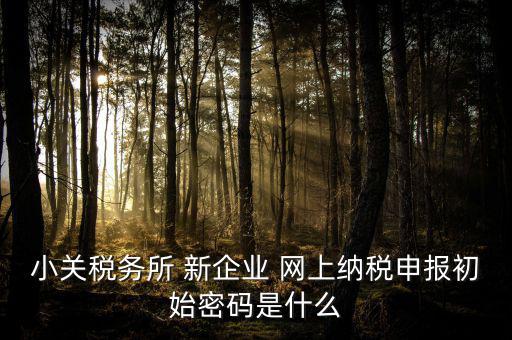 深圳國稅微信預約密碼是什么意思，小關稅務所 新企業(yè) 網上納稅申報初始密碼是什么