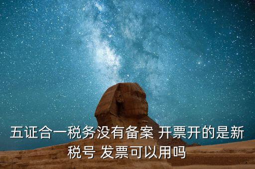 新稅號用到什么，新稅號開的發(fā)票與老稅號開具的發(fā)票有什么不同