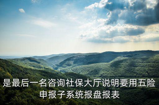 是最后一名咨詢社保大廳說(shuō)明要用五險(xiǎn)申報(bào)子系統(tǒng)報(bào)盤報(bào)表