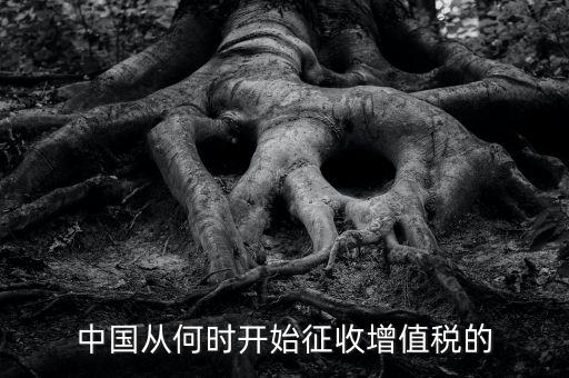 什么時(shí)候征收增值稅，批發(fā)零售業(yè)增值稅征收率什么時(shí)間開(kāi)始為3