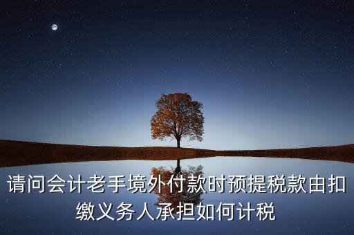 請問會計老手境外付款時預提稅款由扣繳義務(wù)人承擔如何計稅