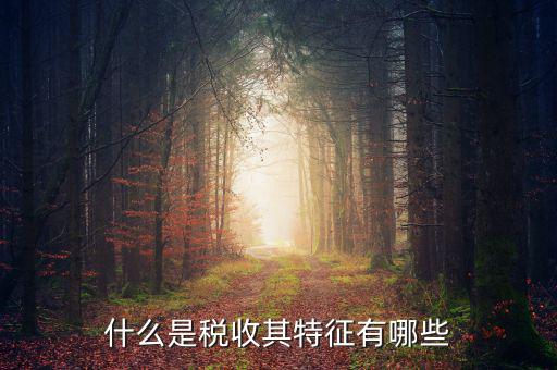 稅收的特點(diǎn)是什么意思，稅收的實(shí)質(zhì)和特征