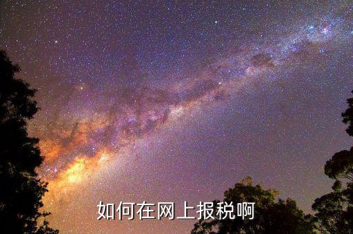 網(wǎng)上用什么申報(bào)稅務(wù)局，如何網(wǎng)上稅務(wù)申報(bào)