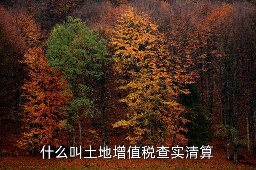 土地增值稅為什么清算，土地增值稅清算