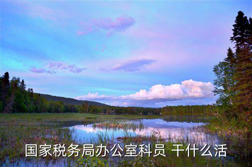 國稅行政辦公室干什么，國稅局辦公室怎么樣