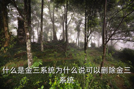 國稅金三系統(tǒng)是什么，什么是金三系統(tǒng)為什么說可以刪除金三系統(tǒng)