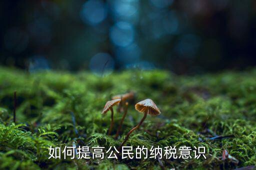什么是納稅漫畫宣傳，魁拔第一部的投入官方說是3500萬一部動漫為什么投資那么大都花