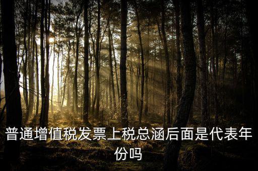 稅總涵2016是什么意思，普通增值稅發(fā)票上稅總涵后面是代表年份嗎