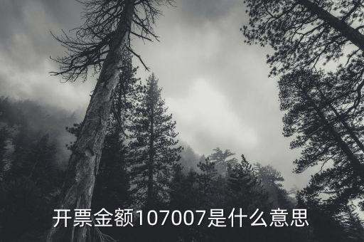 開(kāi)票金額是什么意思，增值稅專用發(fā)票的各項(xiàng)金額分別是什么含義