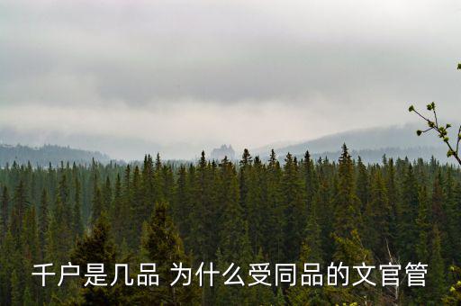 什么千戶集團，千戶是什么意思