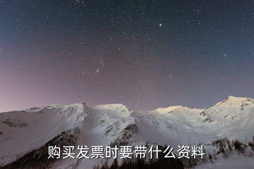 購發(fā)票 帶什么資料，購買增值稅普通發(fā)票需要帶什么資料