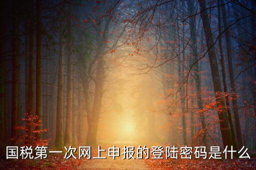 網(wǎng)上稅稅通密碼是什么，國稅第一次網(wǎng)上申報的登陸密碼是什么