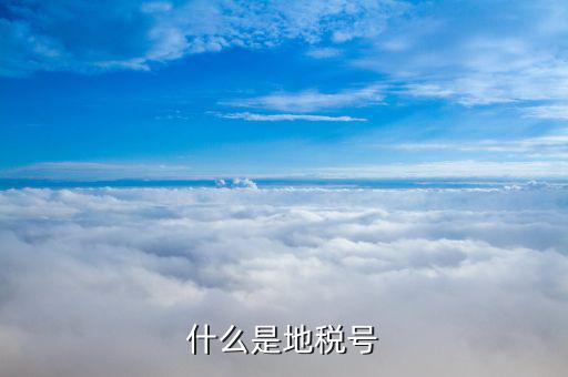 稅務(wù)賬號是什么，什么是地稅號