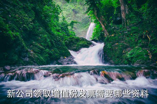 領(lǐng)發(fā)票需要什么，去稅務(wù)局領(lǐng)發(fā)票需要帶什么資料去