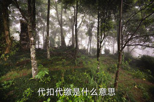 稅務(wù)代收什么意思，代扣代繳是什么意思